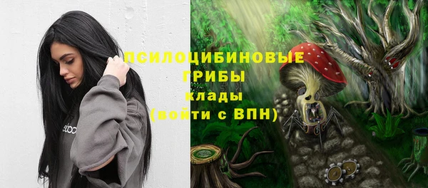 ешки Богородицк