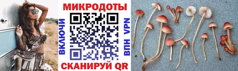 Галлюциногенные грибы ЛСД  Купить где  Мариинский Посад 